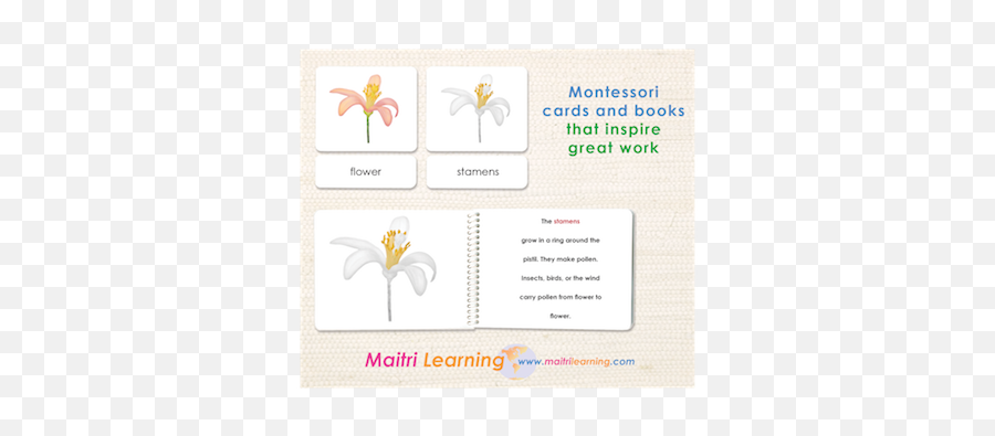 Montessori Marketplace - Language Emoji,Emotions Montessori Cards