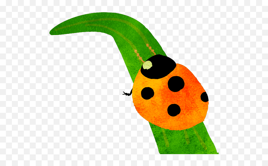 Ladybug Ladybird Beetle - Lovely Emoji,Leaf And Pig Emoji