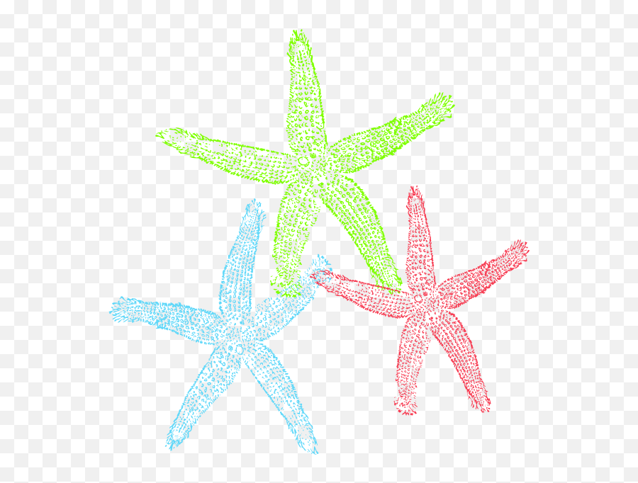 Starfish Free To Use Clip Art - Clipartingcom Basilica Of Our Lady Of Ransom Ave Maria Emoji,Starfish Emoticon For Facebook
