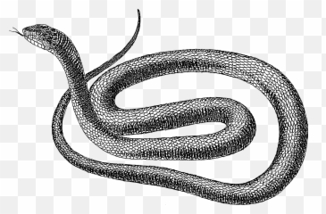 Vector Snake Png Clipart Png Mart Emoji,Hamelt With Emojis
