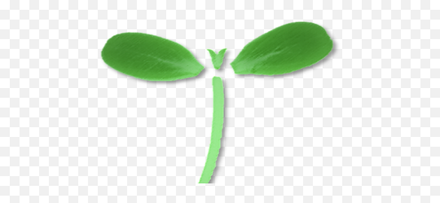 Home Seedleaf Microgreens Crop Planning Software Emoji,Green Plany Emojis