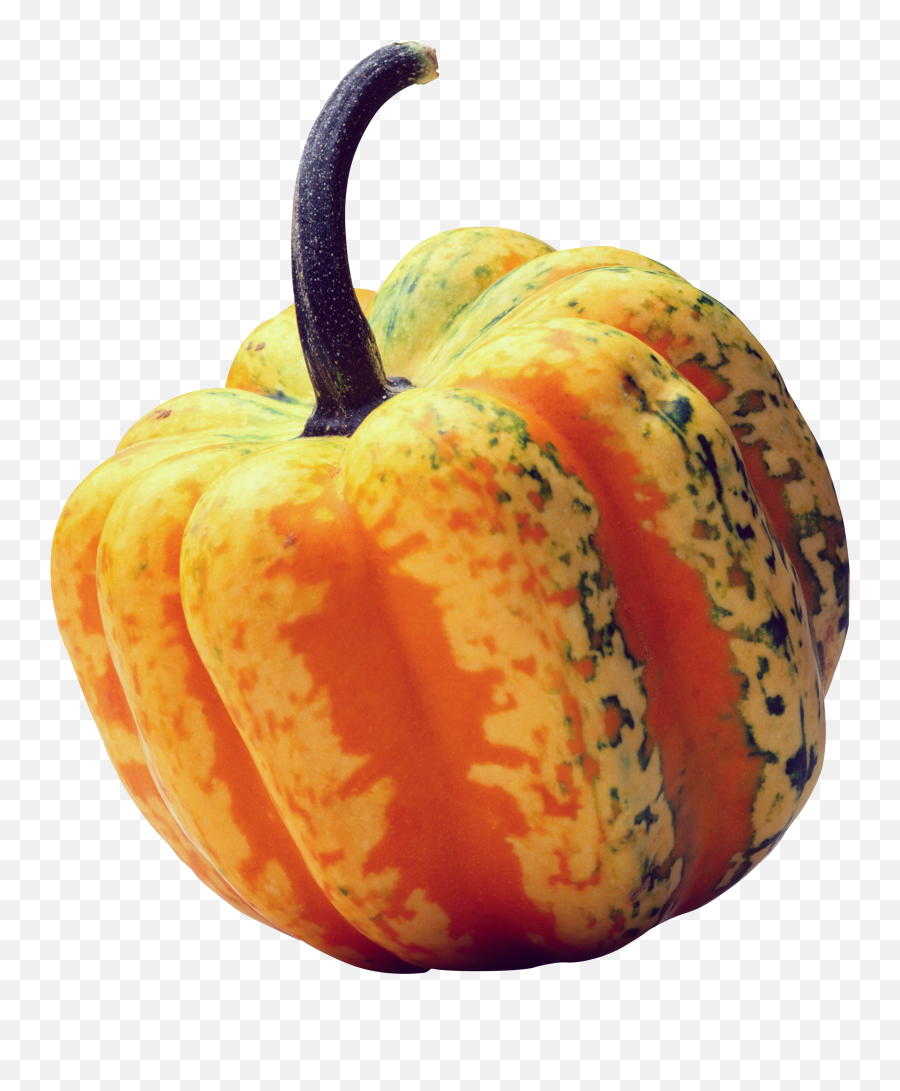 Pumpkin Hd Png - Gourd Transparent Background Emoji,Pumpkin Emoticon For Facebook