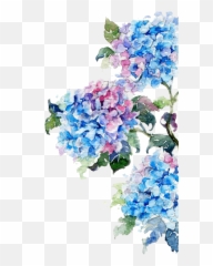Watercolor Painting Flower Drawing Watercolor Flowers - Flower Watercolor Hydrangea Emoji,Pink Flower Emoji Transparent
