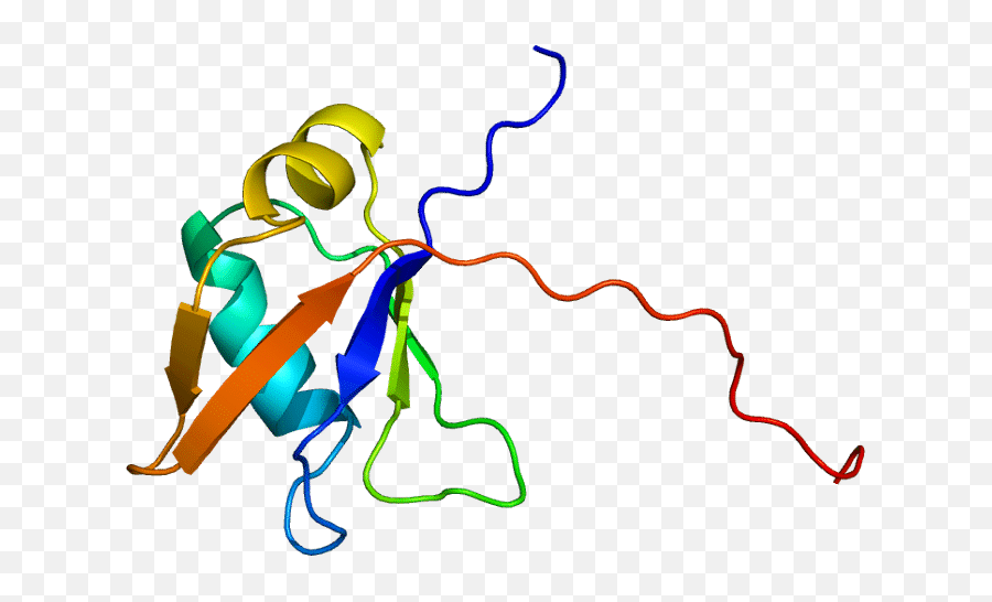 Paradigm Shift In Alzheimeru0027s Disease Insights And Knowledge - Limbic Predominant Age Related Tdp 43 Encephalopathy Emoji,Emojis Forgetful Paradigm Shift In Alzheimeru0027s Disease Insights And Knowledge - Limbic Predominant Age Related Tdp 43 Encephalopathy Emoji,Emojis Forgetful