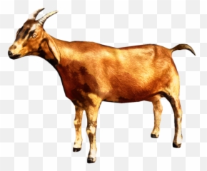 Free Transparent Goat Png Download - Goat Png Emoji,Jumping Goat Emoji