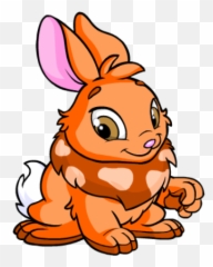 Orange Cybunny Rainbow Pool Neopets Wardrobe - Cybunny Neopets Emoji,Emotion Of Orange
