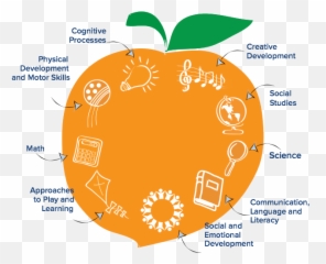 Peach - Peach Diagram Emoji,Lesson Plans On Infant Emotions