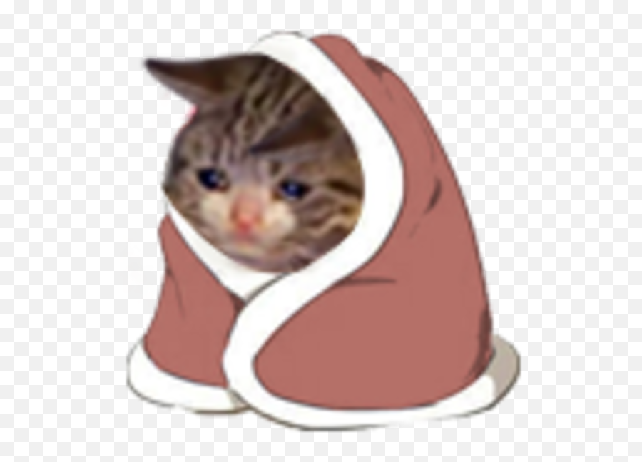 Sad Cat In A Blanket Crying Cat Know Your Meme Emoji,Why Are There Cat Emojis Meme