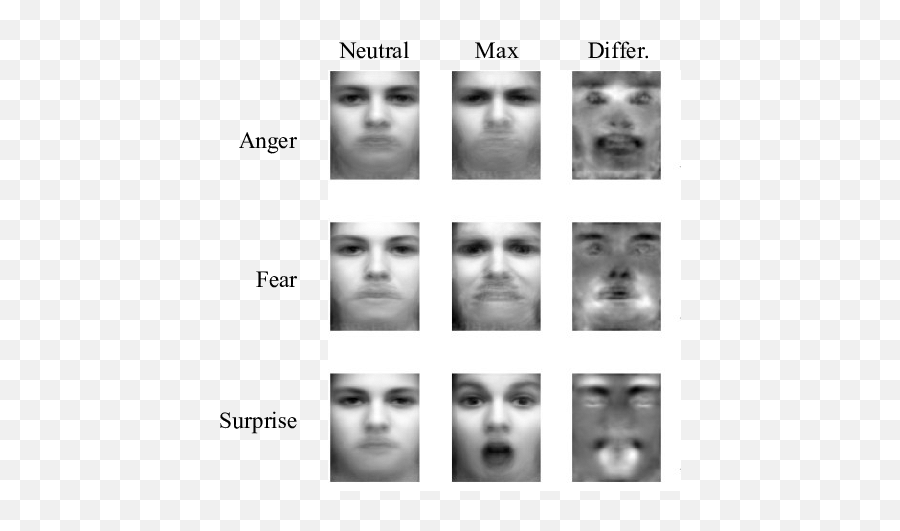 Creation Of The Expression Regions The Represented - Hair Design Emoji,Face Emotion Detection