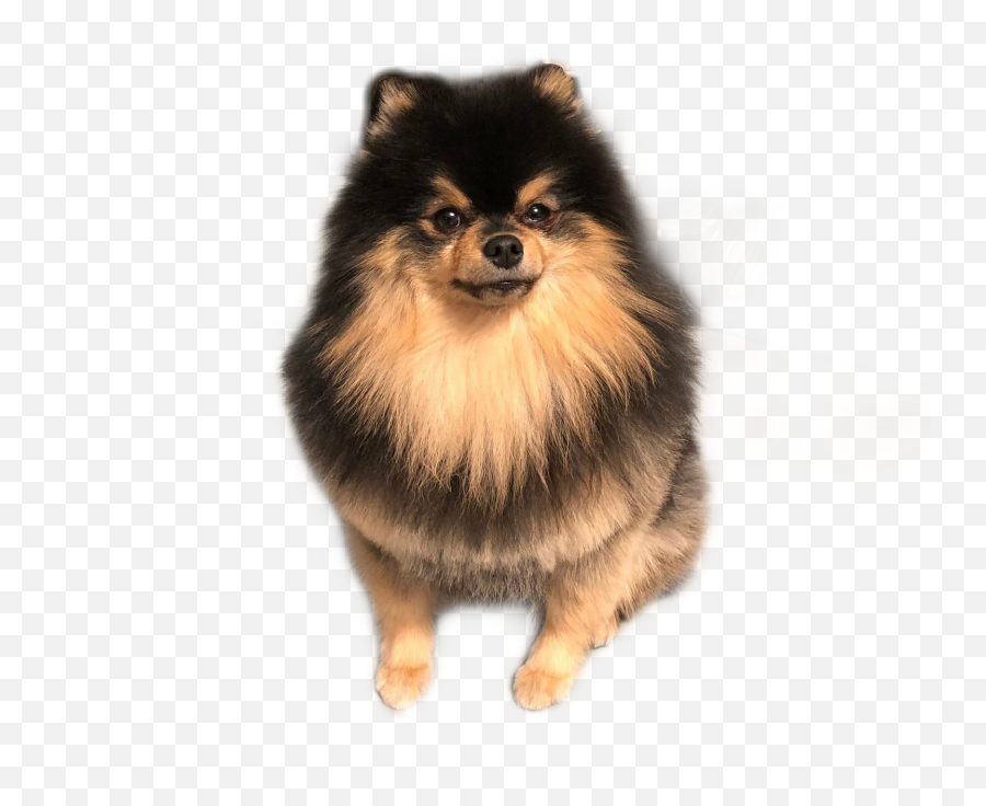 The Most Edited - Kim Yeontan Emoji,Yeontan Emoticon