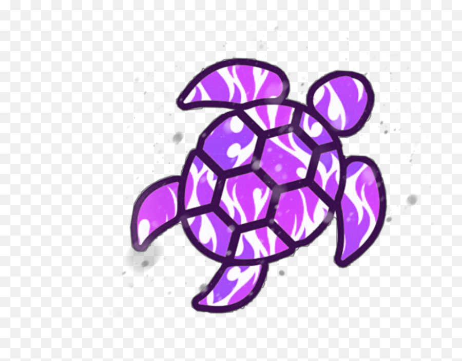 The Most Edited - Vsco Turtle Png Emoji,How To Make A Turtle Emoticon