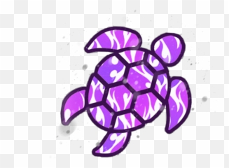 The Most Edited - Vsco Turtle Png Emoji,How To Make A Turtle Emoticon