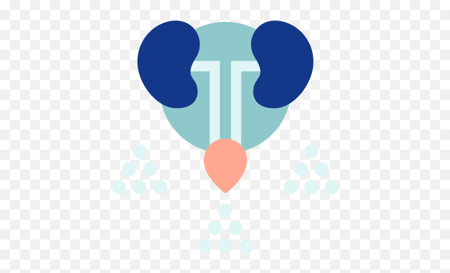 Urethral Discharge In Females 8 Causes For Urethritis In Women - Dot Emoji,Women Drianing Mens Emotion