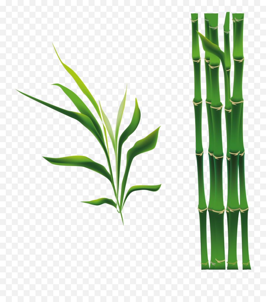 Bamboo Stem Png Free Download Png Arts Emoji,What Do Stem Emoticons Do