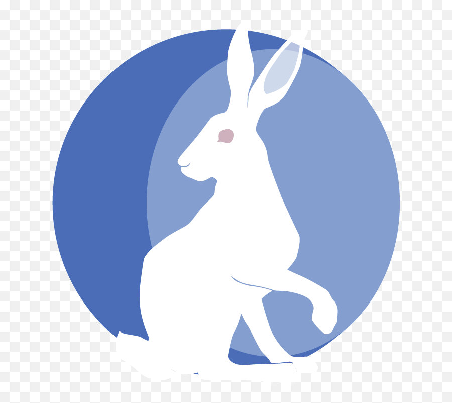 Yoga Nidra Training Weekend White Rabbit Yoga Emoji,Hare Emotion
