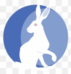 Yoga Nidra Training Weekend White Rabbit Yoga Emoji,Hare Emotion