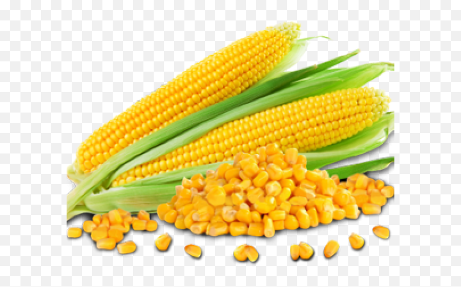 Maize Corn On The Cob Drawing Png Photo Png Arts Emoji,Emojis Corn