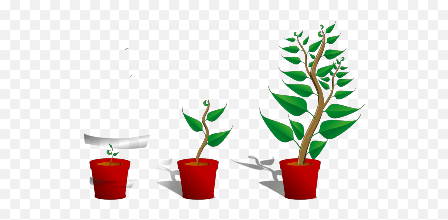 Plant Growth Png Svg Clip Art For Web - Download Clip Art Emoji,Green Plany Emojis