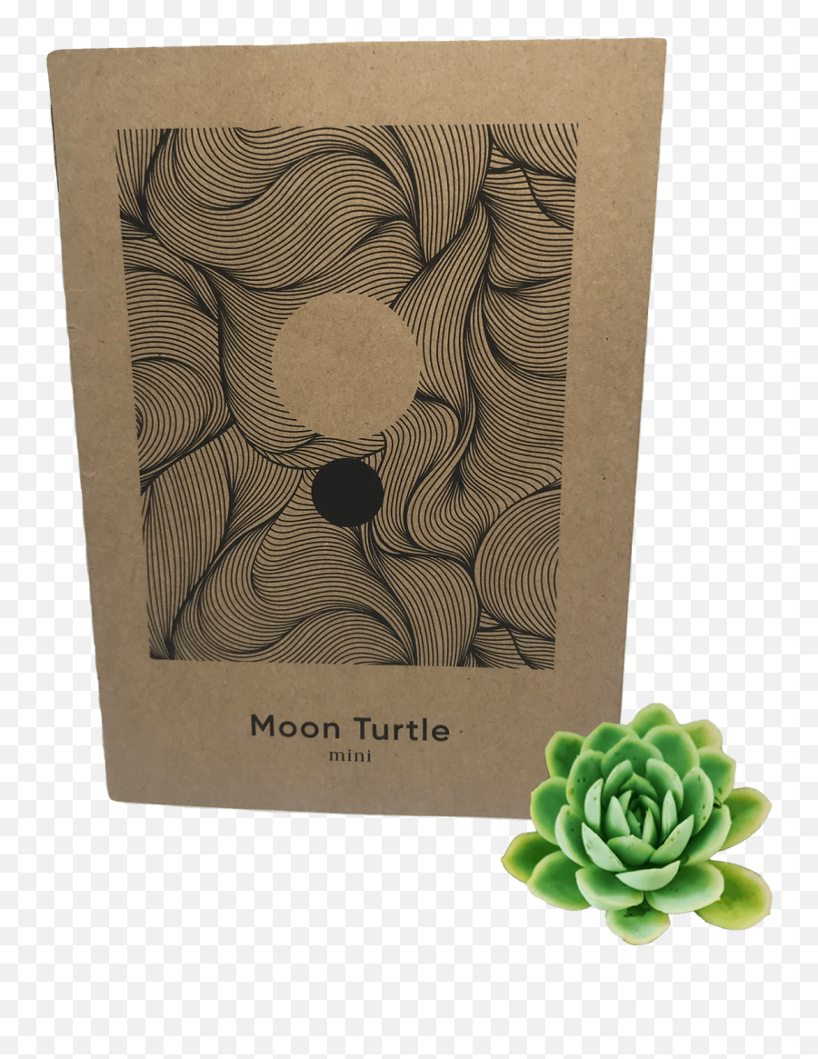 Moon Turtle Mood Journal - Decorative Emoji,Moon And Emotions