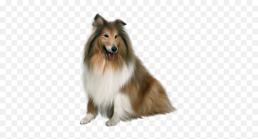 Dog Pup Puppy Pet Lessie Sticker - Collie Dog Transparent Background Emoji,Sheltie Emoji