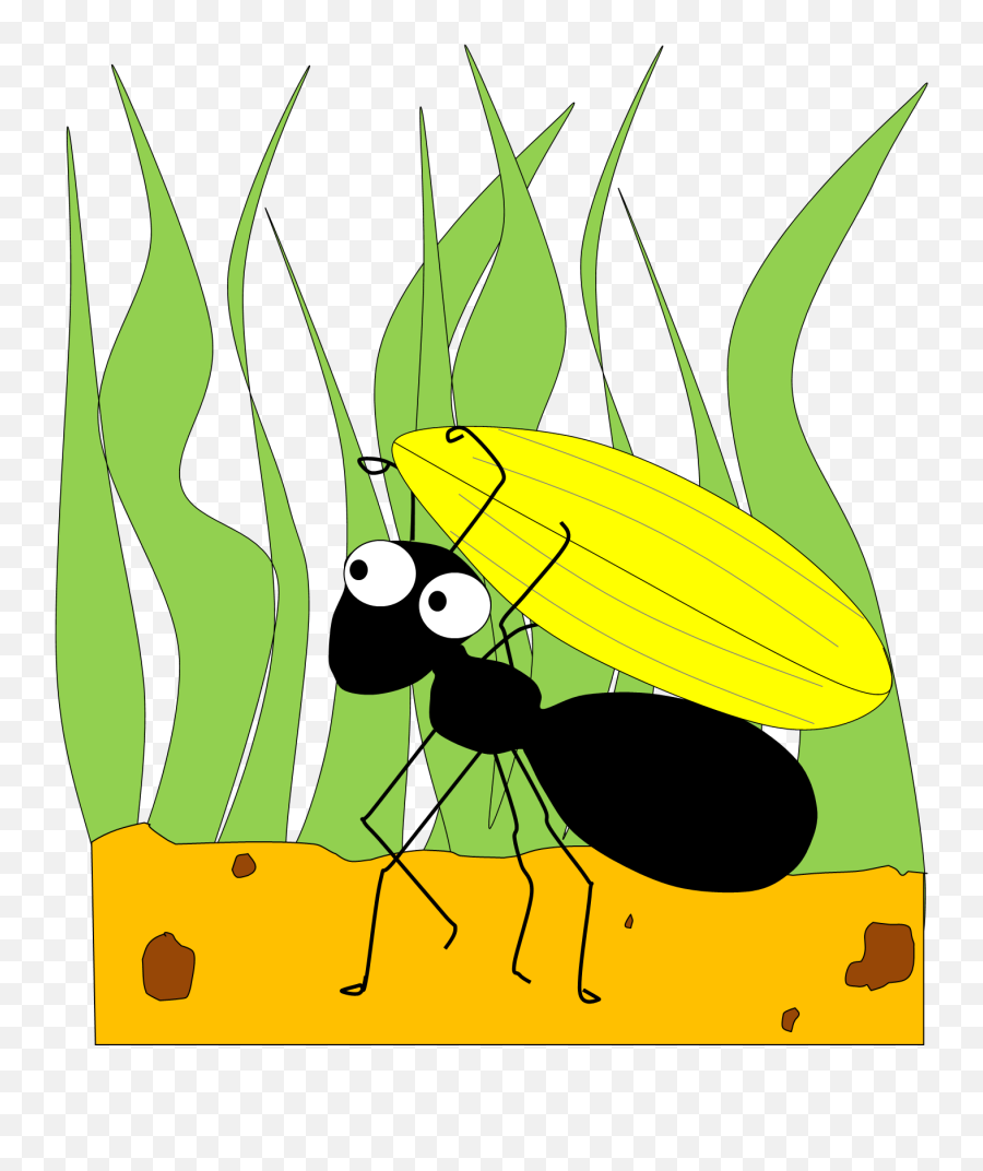 Ants Clipart 3 Clipartandscrap - Clipartix Clipart Ant And Grasshopper Emoji,Ant Fork Knife Emoji