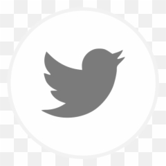 Running Out Of Air - Twitter Icons White Circle Blue Bird Emoji,Teenage Emotions Twitter