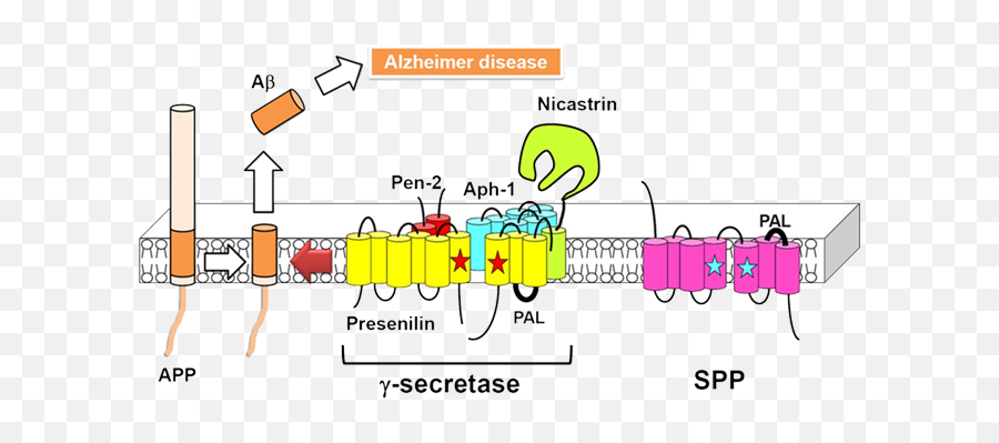 Metabolic Genomics Pharmaceutics Emoji,Siemens Emotion 16 Slice Ics Installation Instructions