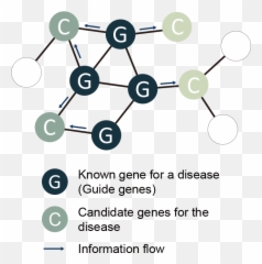 Humannet Search - Dot Emoji,Biological Aspect Of Emotions And Diseases