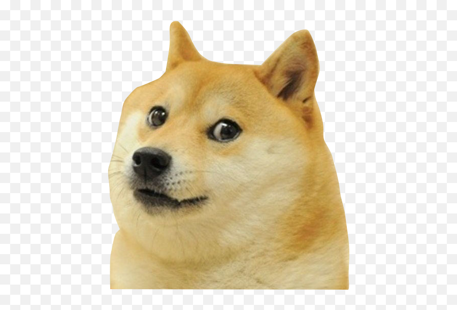 Delivery - Doge Image Id Roblox Emoji,Free Emoticons To Use Doge