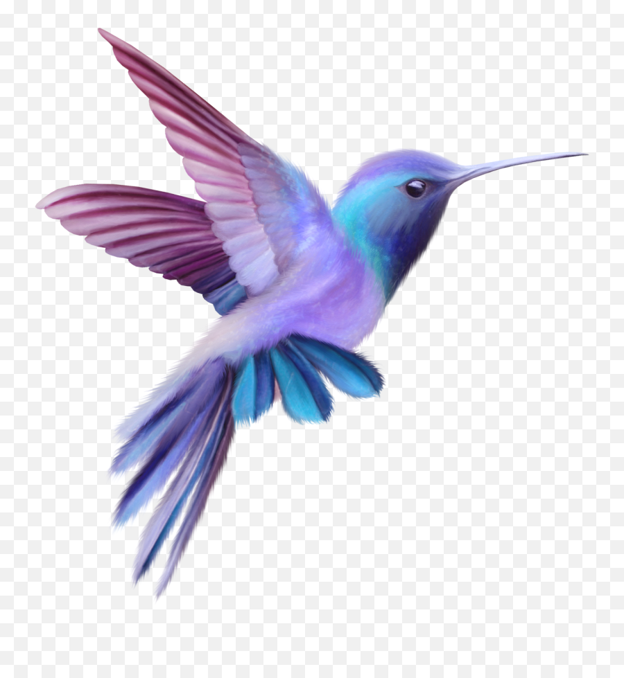 Hummingbird Colibri Bird Birb Sticker By Anamilena - Blue Purple Pink Hummingbird Emoji,Birb Emoji