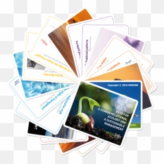 Mentoring Sensink Card Pack Hr Tools And Sustainable - Dot Emoji,Patterning With Emotion Cards