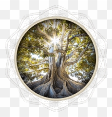 What Is Positive Psychology - Nc Center For Resiliency Pllc Emoji,Emotion Isolation Art