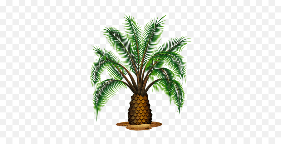 Palm Tree Summer Palmen Arbre Ete - Picmix Emoji,Palm Tree Emoji Png