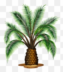 Palm Tree Summer Palmen Arbre Ete - Picmix Emoji,Palm Tree Emoji Png