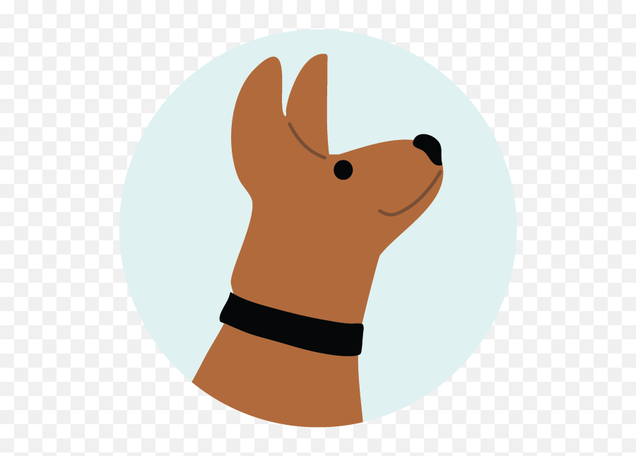 Pet Care U0026 Vet App For Health And Wellness Askvet Emoji,Decode The Emoji Retail