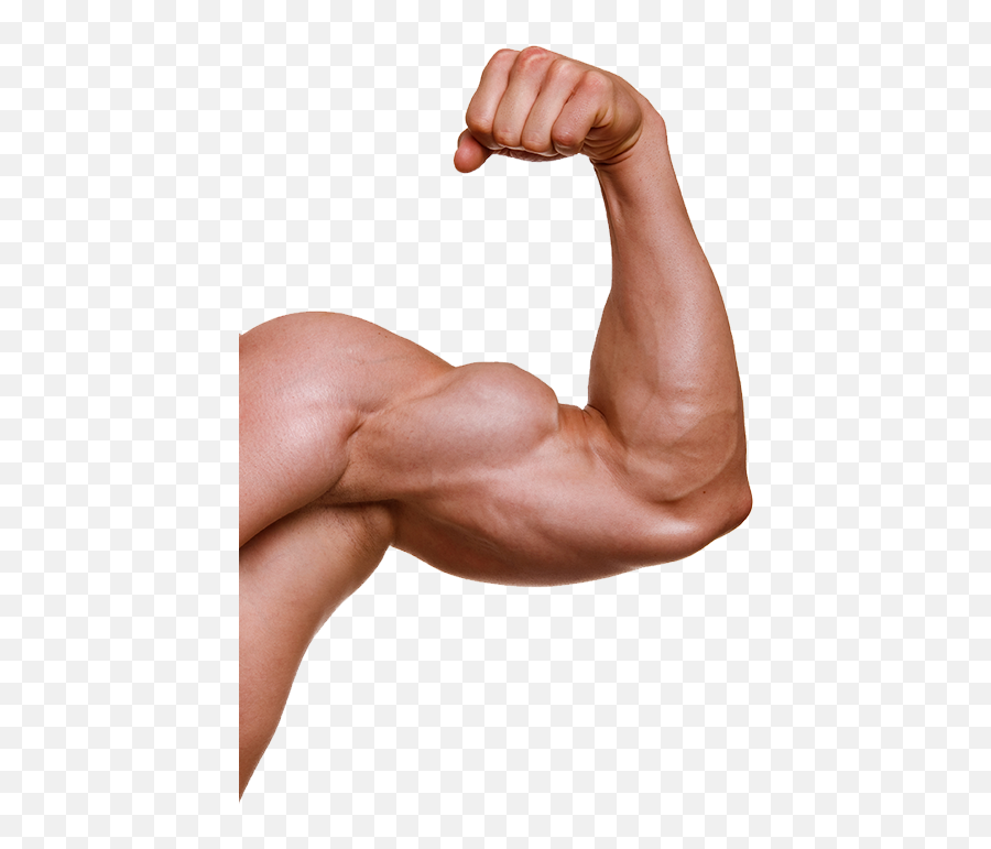 Download Muscle Arm Png - Muscle Png Full Size Png Image Transparent Muscle Arm Png Emoji,Strong Arm Emoji