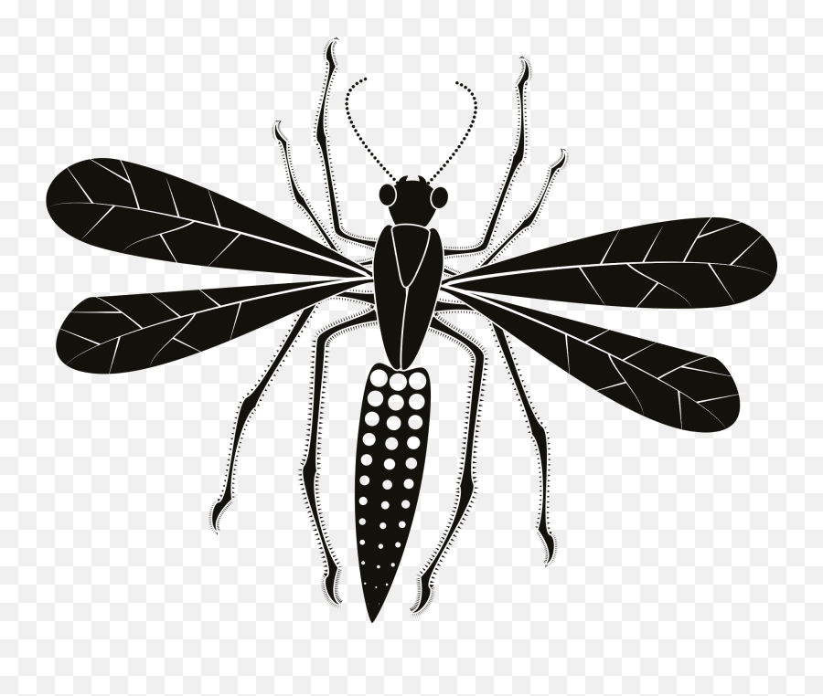 Insect Clipart - Parasitism Emoji,Cicada Emoji