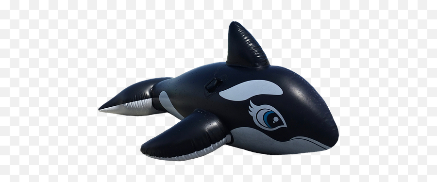 90 Free Orca U0026 Killer Whale Photos - Pixabay Orca Float Emoji,Orcas Brain Emotions