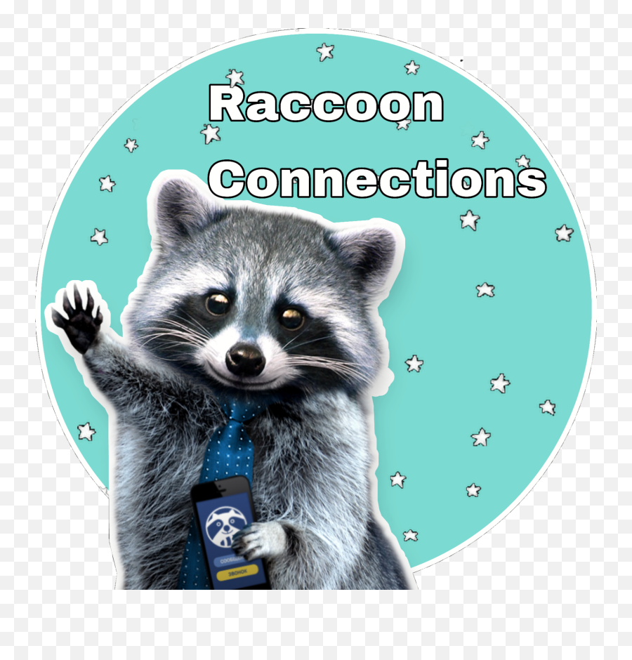 Discover Trending - Raccoon Sunflower Emoji,Raccoon Youtube Emoji