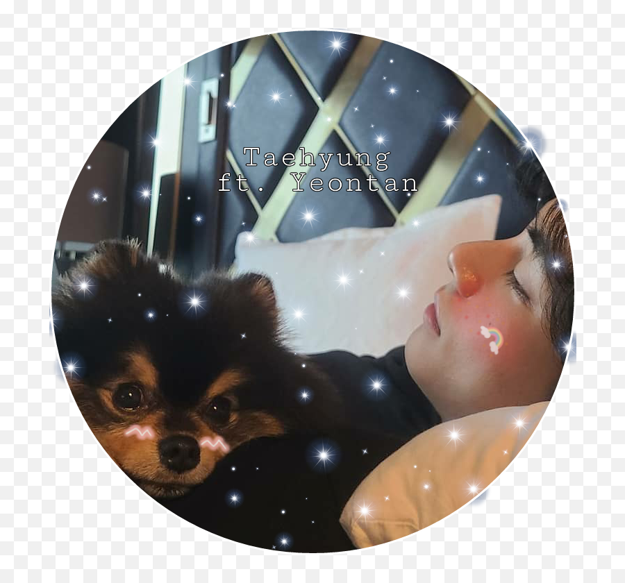 The Most Edited - Taehyung Yeontan Emoji,Yeontan Emoticon