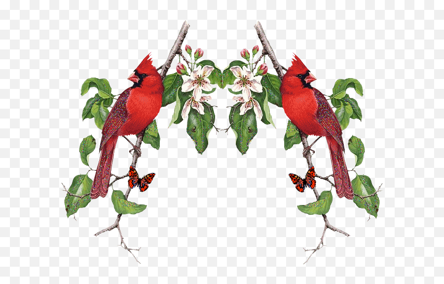 50 Ideas - Happy Birthday Red Bird Gif Emoji,