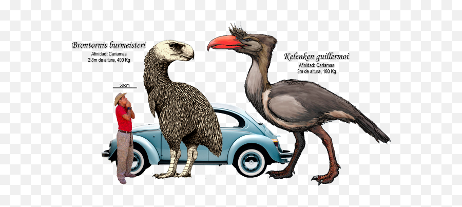 Giant Killer Prehistoric Birds - Megalania Prisca Emoji,Emotions Of A Bird Meme
