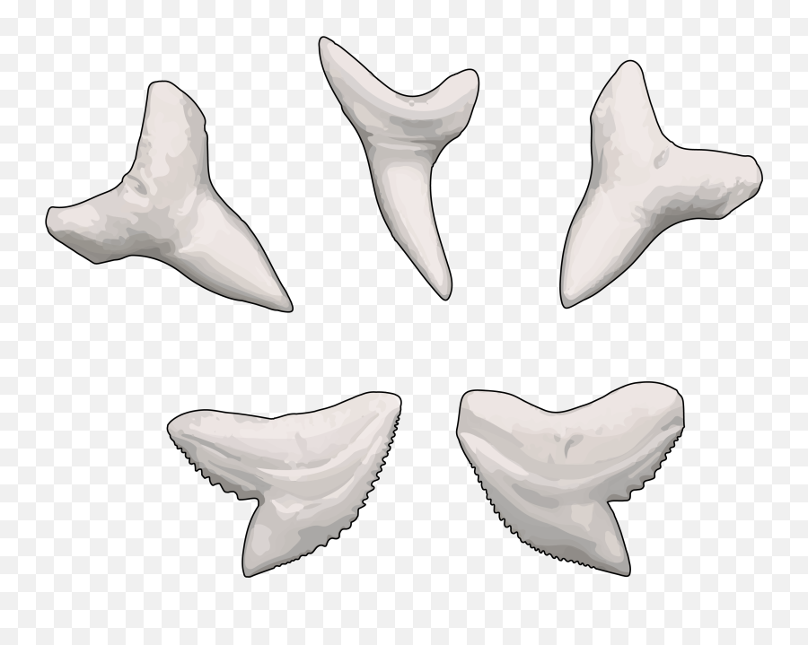 Tiburon Png - Tiburón Azul Diente De Tiburon Azul Diente De Tiburon Dibujo Emoji,Emojis De Dientes