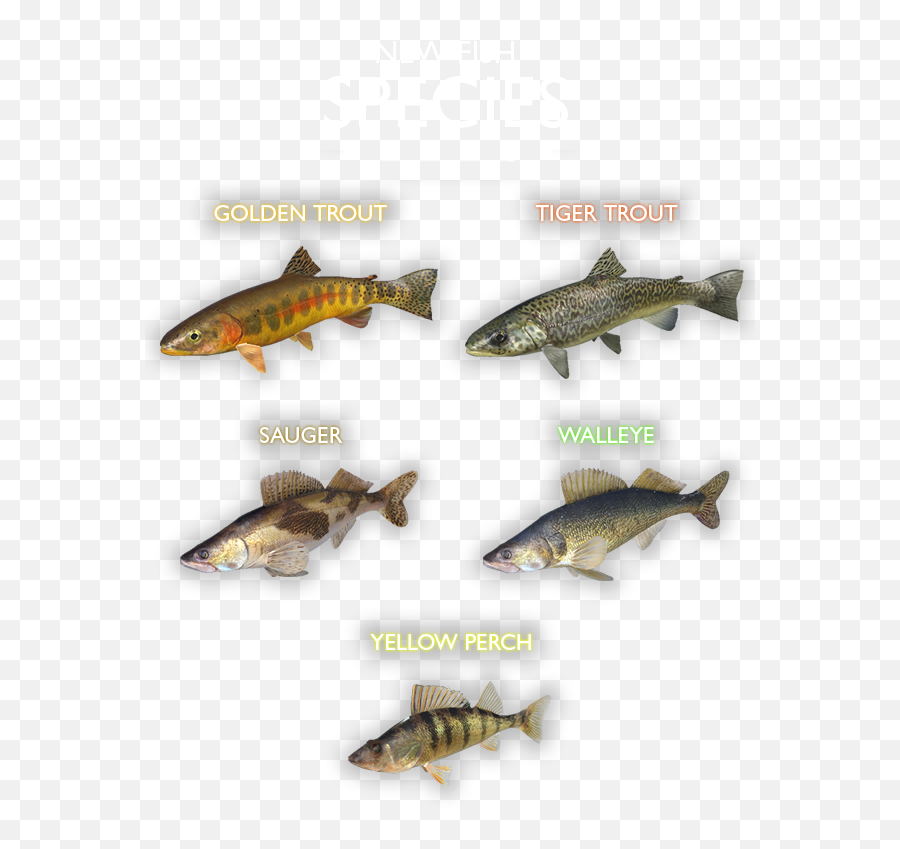 Save 50 On Ultimate Fishing Simulator - Moraine Lake Dlc On Emoji,Trout Fish Emoticon Copy And Paste