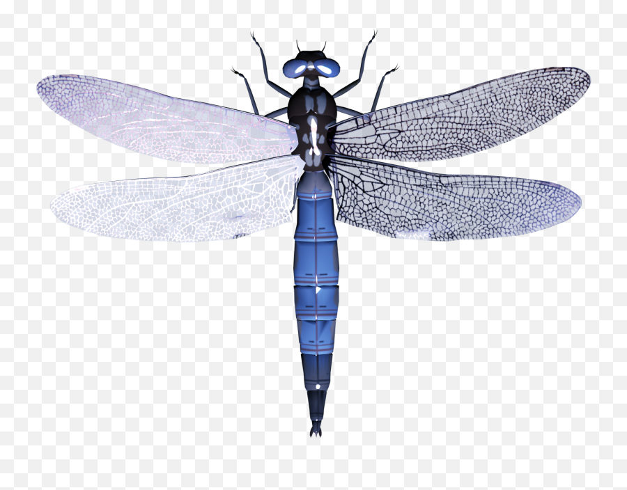 Free Clipart Dragonfly Free Dragonfly Emoji,Dragonfly Emoji