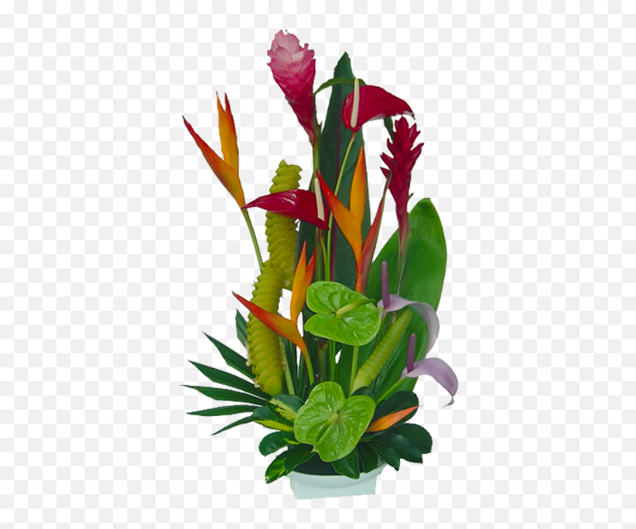 Tropical Flowers Jungle Clipart - Beretania Florist Emoji,Tropical Flower Emoji