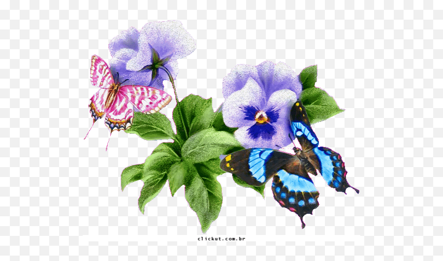 Best Cores Gifs Gfycat - Happy Thursday Butterfly Gif Emoji,Emoticons De Borboleta