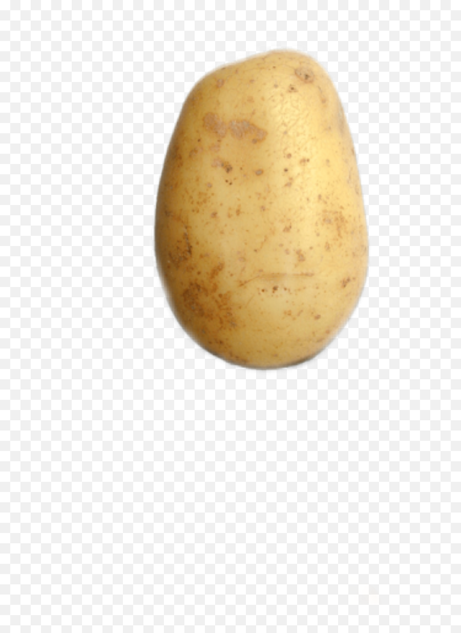 Potato Is Bootiful Sticker - Yukon Gold Potato Emoji,Potato Emoji