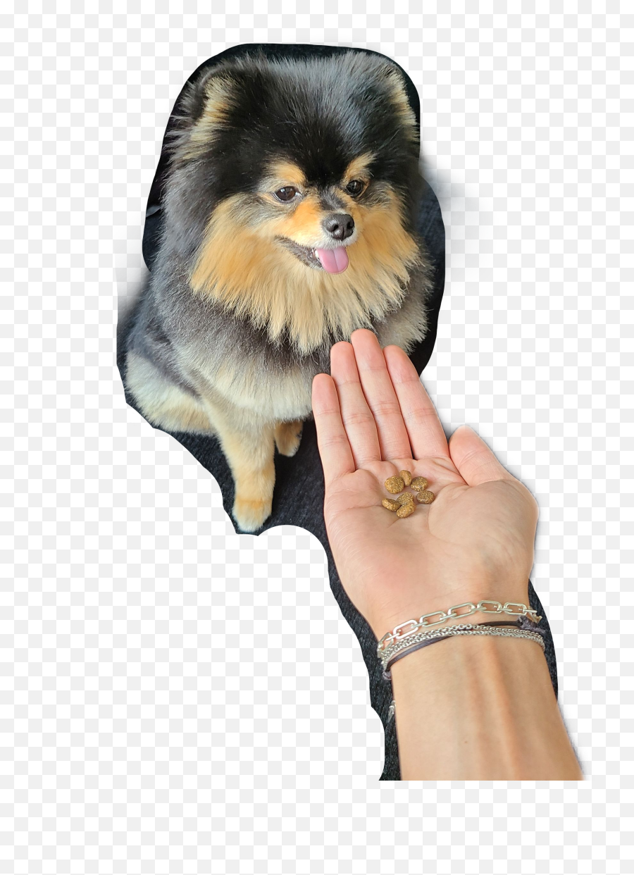 The Most Edited - Yeontan Bts Emoji,Yeontan Emoticon