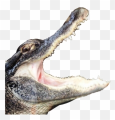 The Most Edited - Big Emoji,Android Alligator Emoji